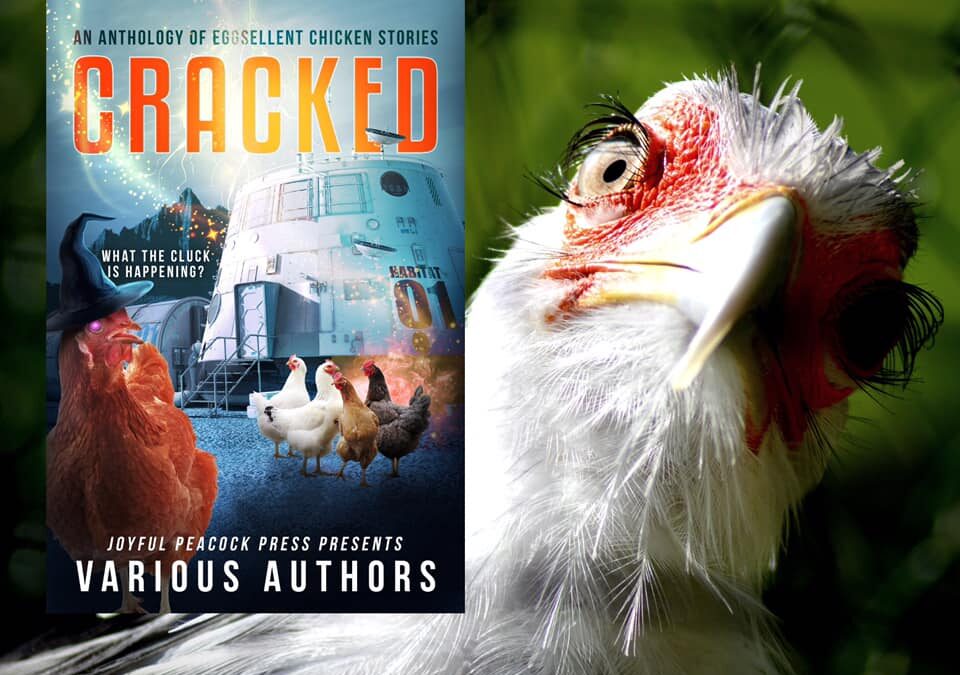 cover art for CRACKED: An Anthology of Eggsellent Chicken Stories